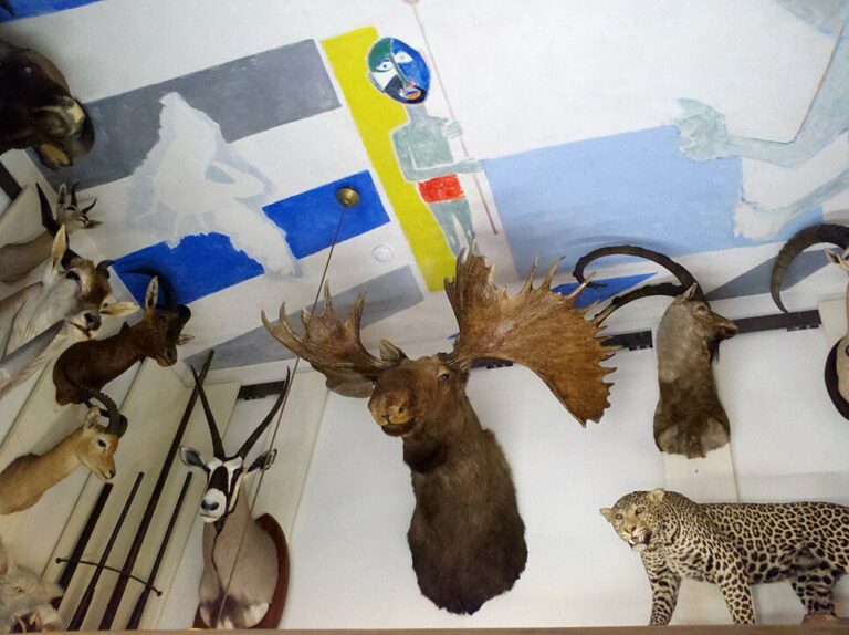 Musée de la Chasse et de la Nature – A Hidden Treasures in Paris’ Le Marais