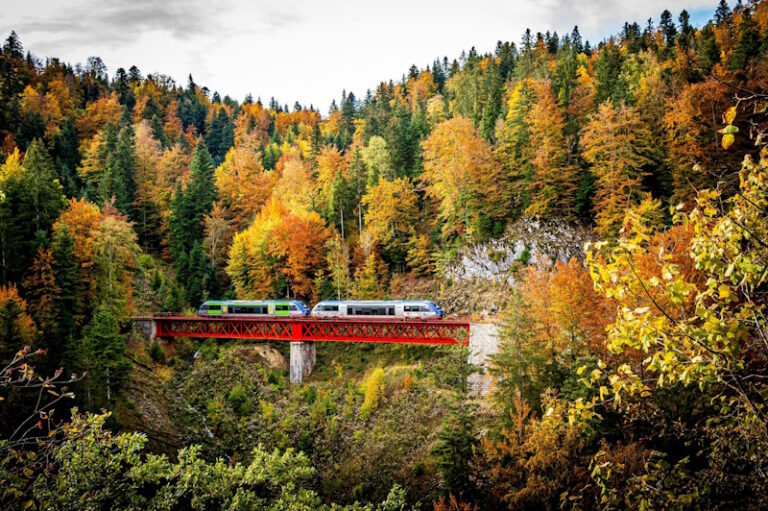 9 Train Rides in France That Will Blow Your Mind – and Your Camera Roll!