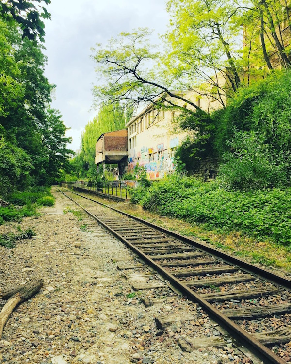 Parc Georges Brassens, La Petite Ceinture Paris. IG post by
@photographe_marco
