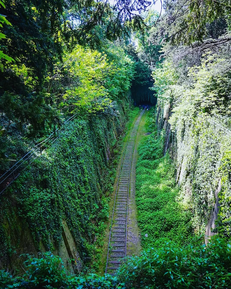 Petite Ceinture Paris 14è - IG post by @mjarveli