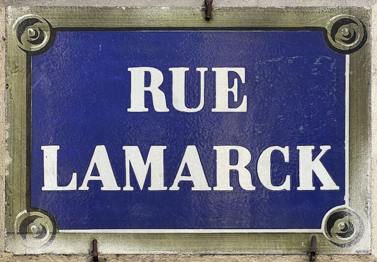 Rue Lamarck: The Winding Spine of Montmartre