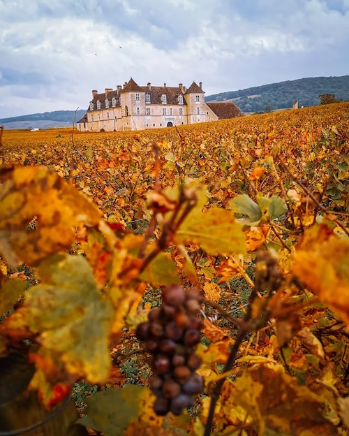 Clos de Vougeot - IG post by @patricurieux