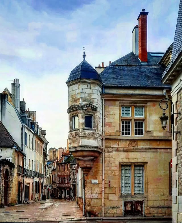Dijon - IG post by @cotedorpix