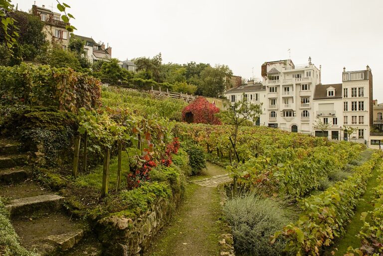 Montmartre Grape Harvest Festival 2025: A Full Guide to Paris’s Most Joyful Autumn Event
