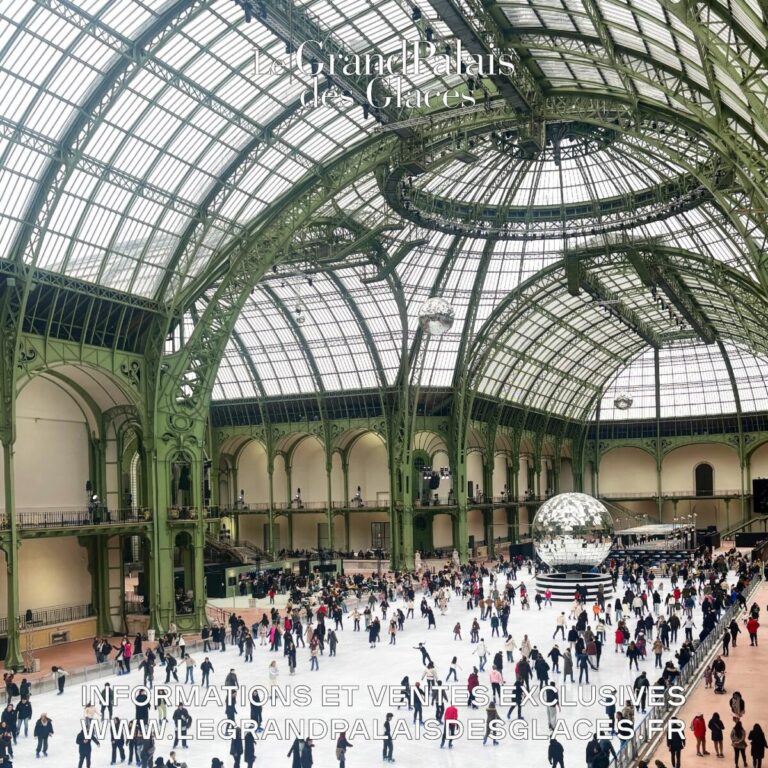 Grand Palais des Glaces 2025: Skating Under a Giant Eiffel Tower
