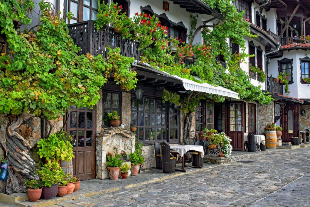Picturesque stone houses with lush greenery in Veliko Tarnovo, Bulgaria.